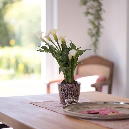 Ferienwohnung Schwalbennest Weinsheim  Esterno foto
