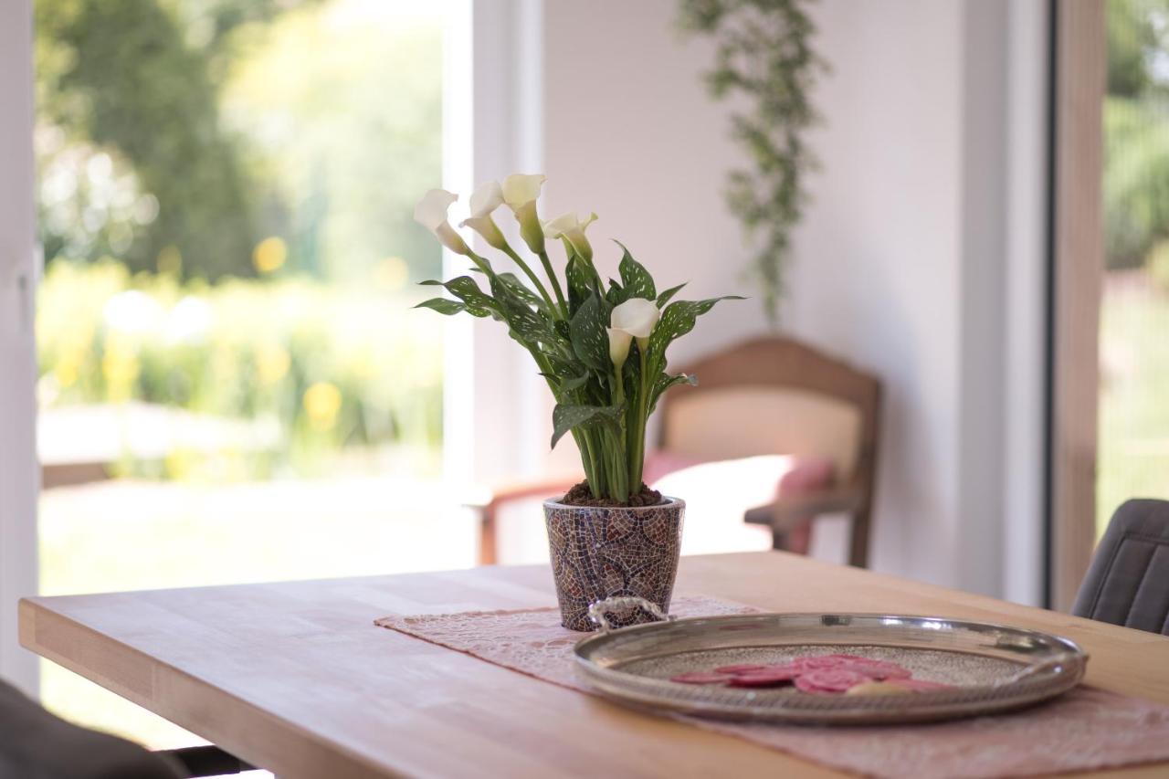 Ferienwohnung Schwalbennest Weinsheim  Esterno foto