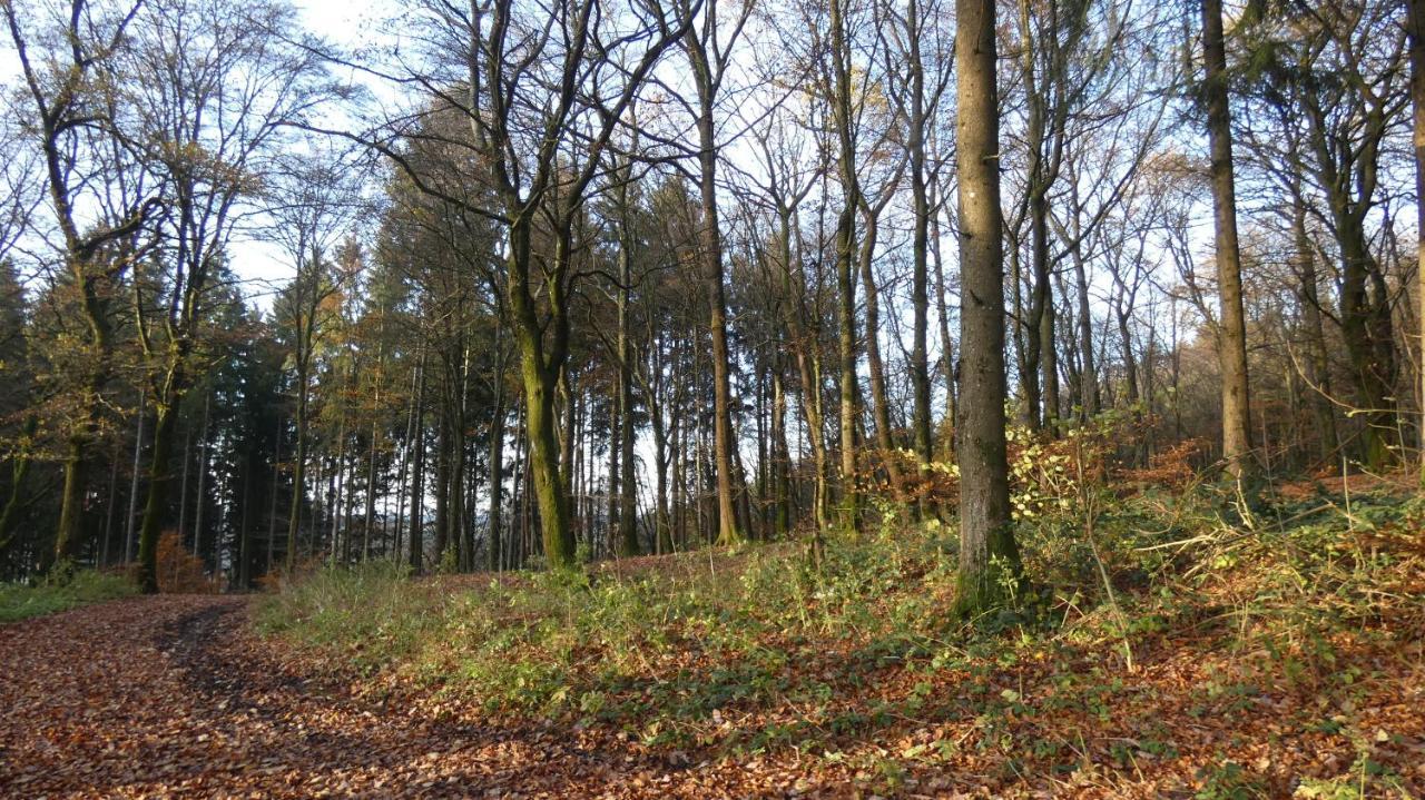 Ferienwohnung Schwalbennest Weinsheim  Esterno foto