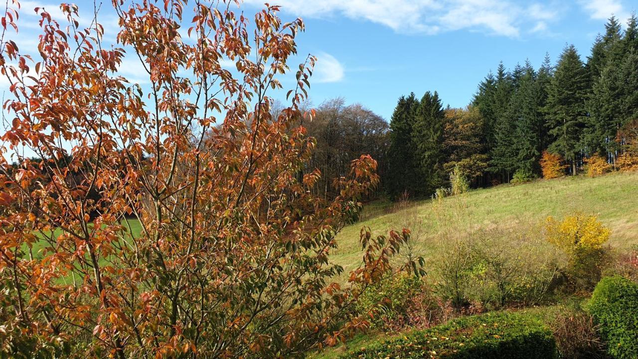 Ferienwohnung Schwalbennest Weinsheim  Esterno foto