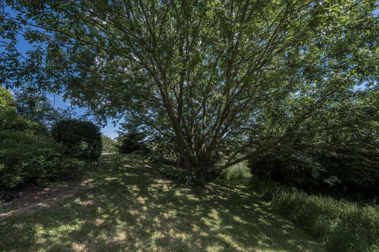 Ferienwohnung Schwalbennest Weinsheim  Esterno foto